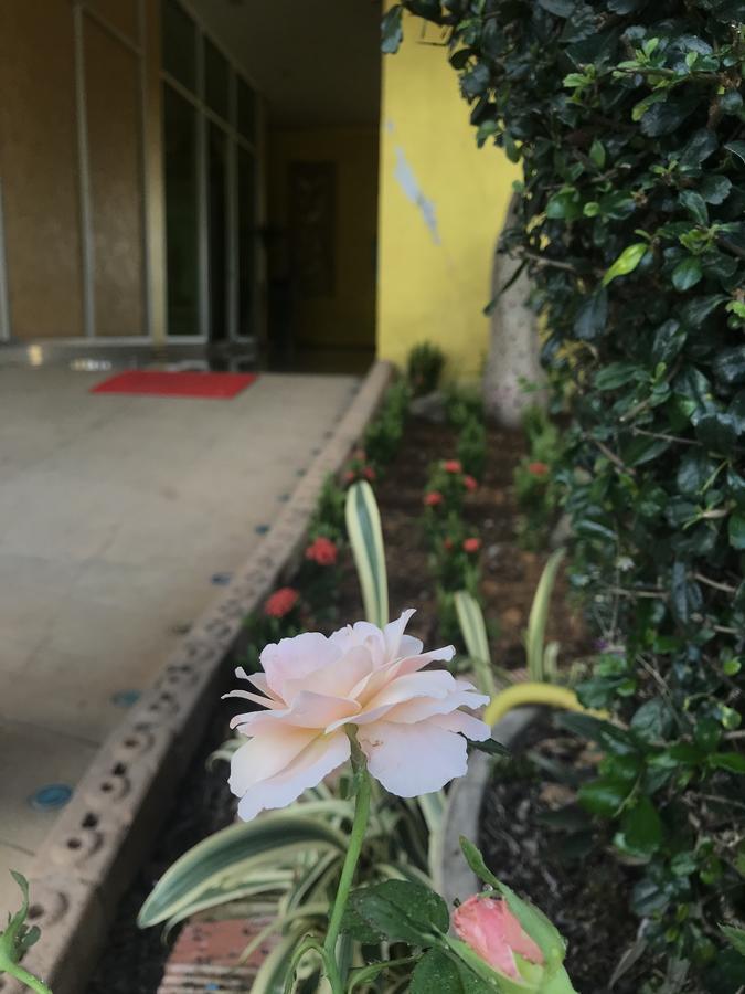 The M Bokeo Hotel Huay Xai Exterior foto